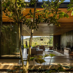 projeto, casa, moderna, minimalista, elegante, estrutura metalica, concreto, madeira