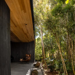 casa, integrada, natureza, serra, bosque, mata, madeira, carbonizada, shou sugi ban