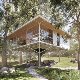 projeto, arquitetura, casa, suspensa, estrutura metalica, mata, campo