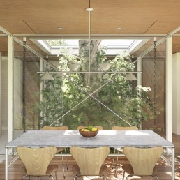 projeto, arquitetura, casa, suspensa, estrutura metalica, arvore, jardim, central